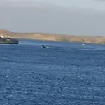 El Faro דירה פלאיה בלנקה
